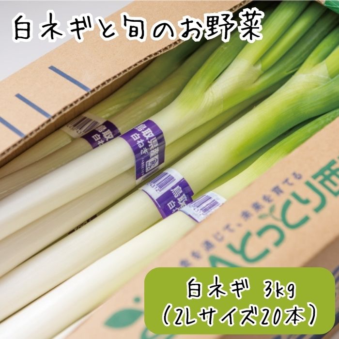 3位! 口コミ数「0件」評価「0」AS07：白ネギと旬のお野菜セット