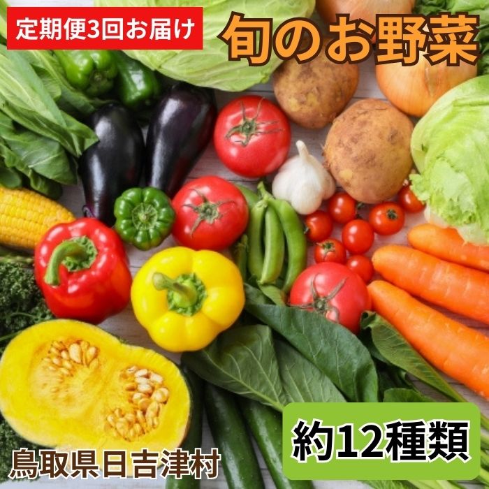 12位! 口コミ数「0件」評価「0」TA01：【3回定期便】ふるさと野菜詰め合わせ