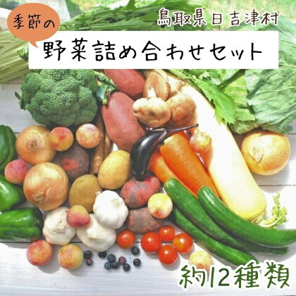 AS01：ふるさと野菜の詰め合わせ