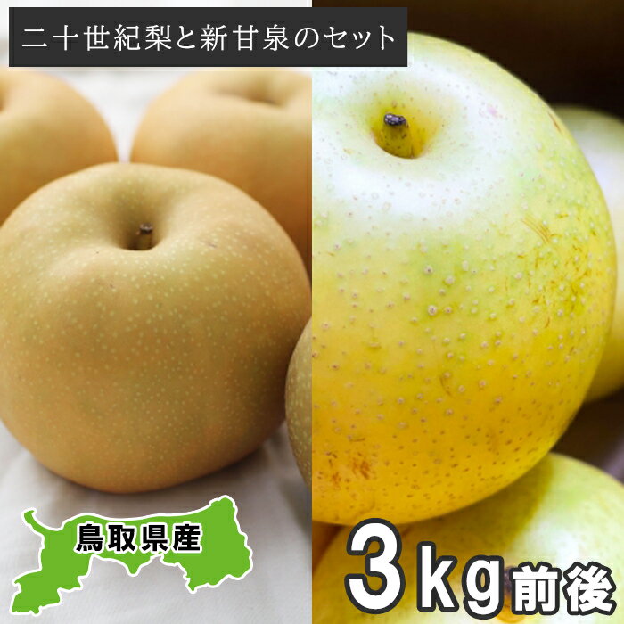 二十世紀梨と新甘泉のセット 3kg