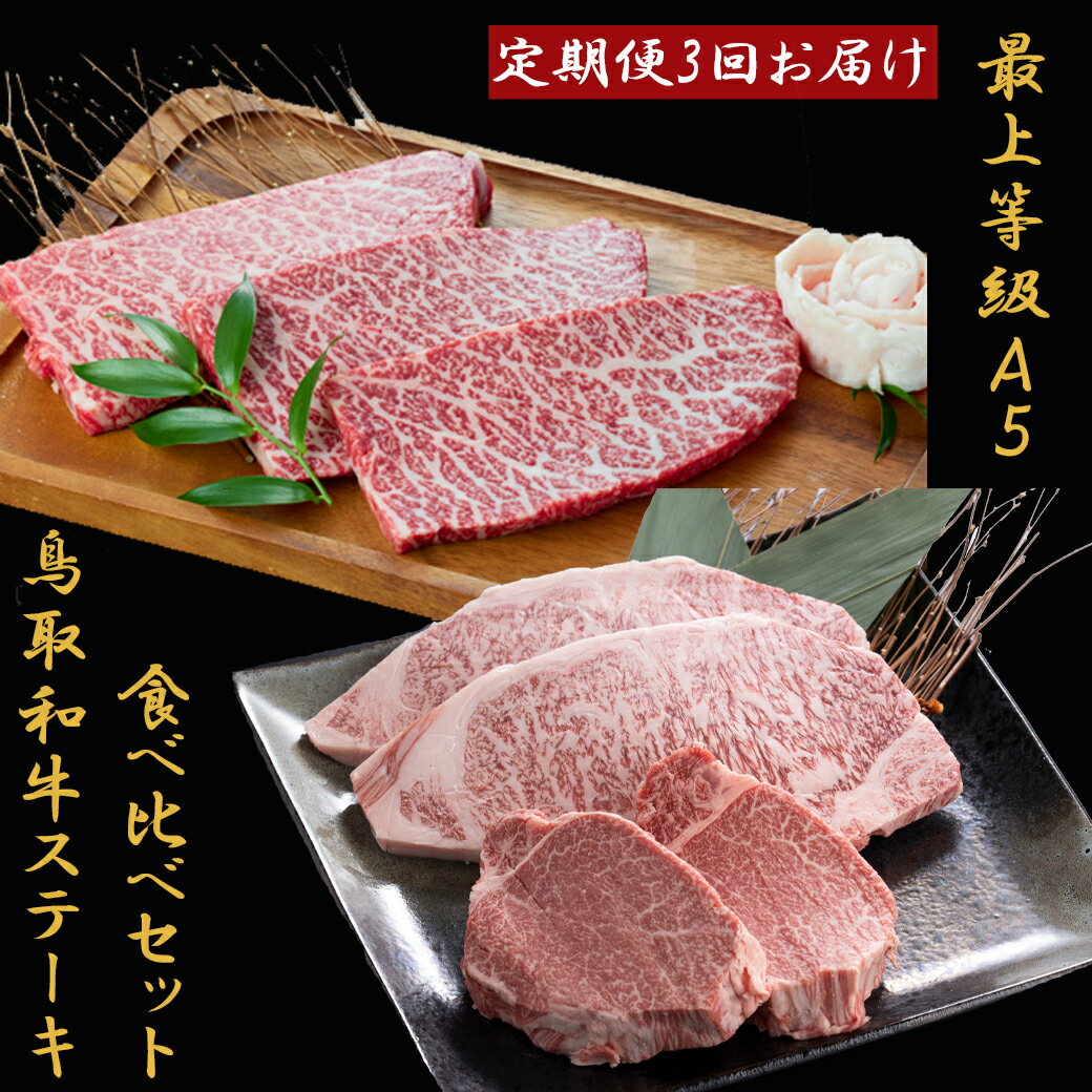 【ふるさと納税】TK01：【3回定期便】A5等級！鳥取和牛ステーキ食べ比べ