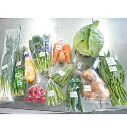 【ふるさと納税】DM01：季節の野菜セット 画像1