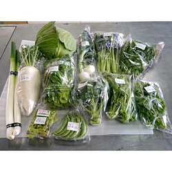 【ふるさと納税】DM01：季節の野菜セット 画像2