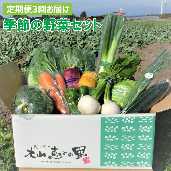 [3回定期便]季節の野菜セット