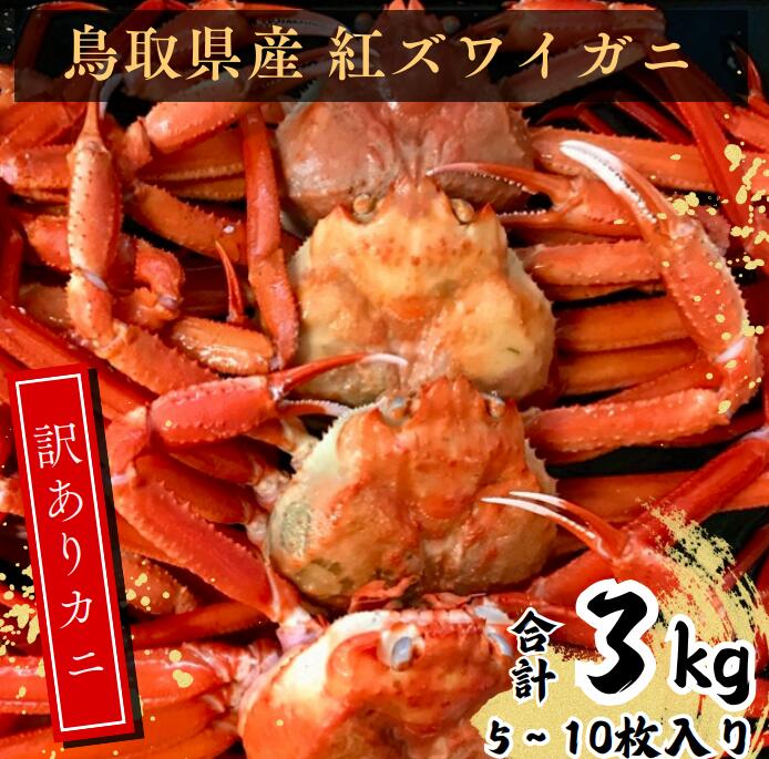 【ふるさと納税】訳あり 紅ずわいがに(5枚〜10枚)3kg EY95