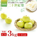 【ふるさと納税】二十世紀梨 特選3kg