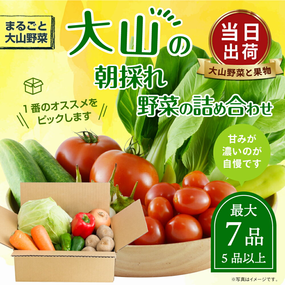 【ふるさと納税】MS-01 新鮮朝採れ野菜　お手ごろセット 野菜詰め合わせ 野菜 生野菜 果物・加工品 朝どれ野菜 野菜セット 詰め合わせ 野菜加工品 バラエティセット 料理 新鮮 鳥取県 鳥取県産 大山町 大山 サラダ 常温保存 くだもの やさい 6種類以上