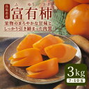 【ふるさと納税】JK-03 富有柿 3kg【発送11月中旬〜下旬】 かき 柿 特産品 果物 甘味 鳥取県 鳥取県産 大山町 大山 お土産 返礼品 国産 お取り...