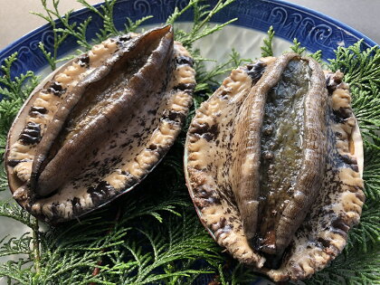 魚屋テルさんの本気 アワビ約600g
