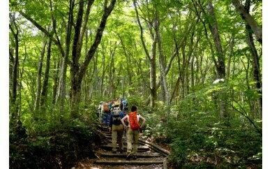 【ふるさと納税】TO-02　大山トリビア登山（引換券） ガイド ツアー 鳥取県 鳥取県産 大山町 大山 お土産 返礼品 国産 お取り寄せ ご当地