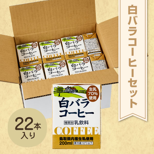 【ふるさと納税】WR-02　鳥取県民みんな大好き！白バラコーヒーブリック 22個 白バラコーヒー セット 飲み比べ 鳥取県 鳥取県産 大山町 大山 白バラ 乳製品 特産品 カフェオレ コーヒー牛乳 コーヒー 生乳 成分無調整 鳥取 紙パック 要冷蔵･･･