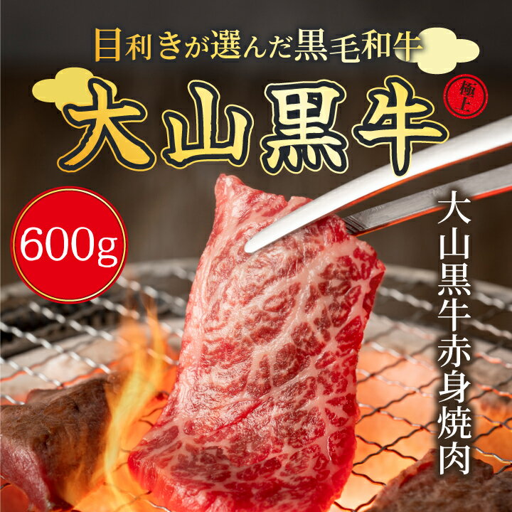 【ふるさと納税】HA-06　大山黒牛赤身焼肉　600g　黒毛和牛 和牛 牛 旨み 冷凍 鳥取県 鳥取県産 大山町 大山 大山産お土産 返礼品 国産 高級 高級品 お取り寄せ ご当地･･･