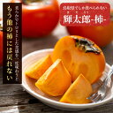 【ふるさと納税】JK-02 でっかくて甘い柿「輝太郎(きたろう)」(6kg)【発送10月上旬〜中旬】柿 かき 新品種 鳥取県 鳥取県産 大山町 大山 お土産 返...