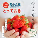 51位! 口コミ数「0件」評価「0」MI-01　【希少品種・鳥取県限定ブランド】とっておき　苺（約500g）いちご イチゴ フルーツ 果物 鳥取県 鳥取県産 大山町 大山 お土･･･ 