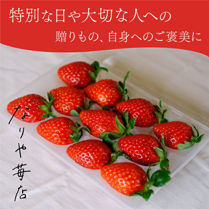 【ふるさと納税】MI-01　【希少品種・鳥取県限定ブランド】とっておき　苺（約500g）いちご イチゴ フルーツ 果物 鳥取県 鳥取県産 大山町 大山 お土産 返礼品 国産 ご当地【2024年1月以降発送】