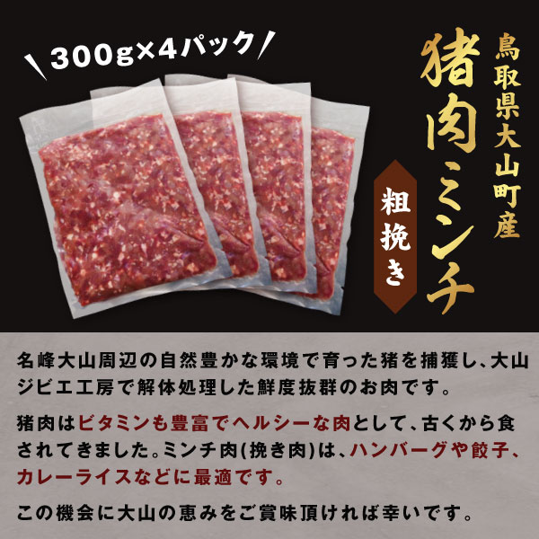 【ふるさと納税】猪肉ミンチ 挽き肉 粗挽き 1.2kg 300g×4パック 鳥取県 鳥取県産 大山町 大山 要冷凍 ジビエ肉 ミンチ ひき肉 細切れ ミンチ肉 粗挽きミンチ 料理 生肉 パック ジビエ イノシシ肉 いのしし 高級 返礼品 鳥取 肉料理 ハンバーグ カレー GB-16