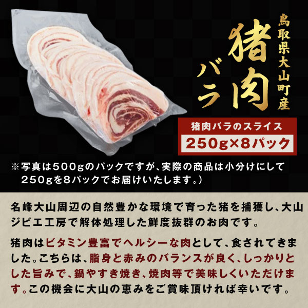 【ふるさと納税】GB-08　猪肉　バラ　2kg（250g×8パック） ジビエ 肉 お肉 鳥取県 鳥取県産 大山町 大山 お土産 返礼品 国産 お取り寄せ ご当地