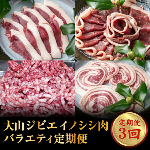 【ふるさと納税】GB-26　大山ジビエイノシシ肉バラエティ定期便（3回コース）　　ジビエ 肉 お肉 鳥取県 鳥取県産 大山町 大山 お土産 返礼品 国産 お取り寄せ ご当地･･･