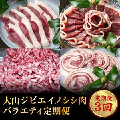 GB-26　大山ジビエイノシシ肉バラエティ定期便（3回コース）　　ジビエ 肉 お肉 鳥取県 鳥取県産 大山町 大山 お土産 返礼品 国産 お取り寄せ ご当地