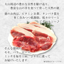 【ふるさと納税】GB-26　大山ジビエイノシシ肉バラエティ定期便（3回コース）　　ジビエ 肉 お肉 鳥取県 鳥取県産 大山町 大山 お土産 返礼品 国産 お取り寄せ ご当地･･･ 画像2