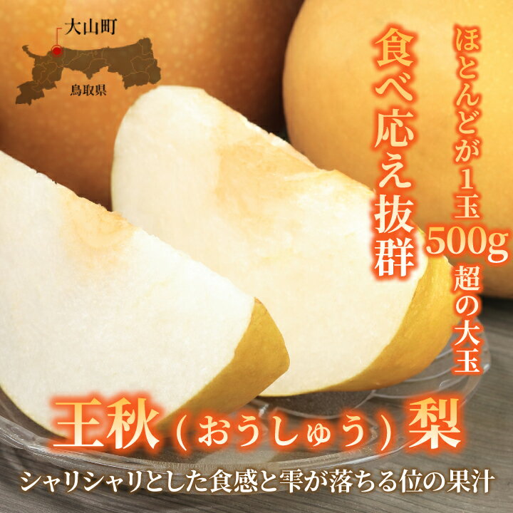 【ふるさと納税】化粧箱入り王秋 おうしゅう 梨 3玉入り 2kg 梨 鳥取県 鳥取県産 大山町 大山 梨 果物 フルーツ ナシ 甘い 果汁 和梨 箱 くだもの 国産 箱入り なし 贈答用 ギフト 贈り物 【発送2024年11月中旬～下旬】DS-09