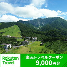 鳥取県大山町の対象施設で使える楽天トラベルクーポン 　　トラベル 旅行 家族 友達 クーポン 鳥取県 鳥取 大山町 大山 返礼品 ご当地