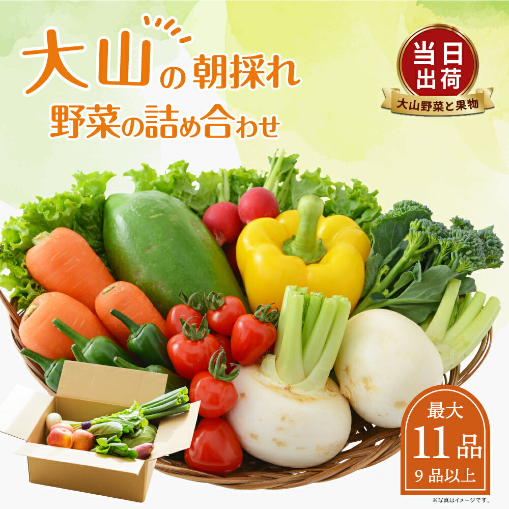 【ふるさと納税】MS-02 新鮮朝採れ野菜セット 野菜詰め合わせ 野菜 生野菜 野菜・果物・加工品 朝どれ野菜 野菜セット 詰め合わせ 10から15種類 新鮮 鳥取県 鳥取県産 大山町 大山 サラダ 常温保存 くだもの やさい 野菜加工品 バラエティセット 料理