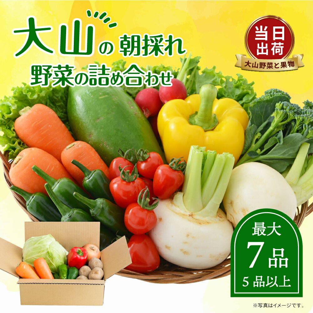 MS-01 新鮮朝採れ野菜　お手ごろセット 野菜詰め合わせ 野菜 生野菜 果物・加工品 朝どれ野菜 野菜セット 詰め合わせ 野菜加工品 バラエティセット 料理 新鮮 鳥取県 鳥取県産 大山町 大山 サラダ 常温保存 くだもの やさい 6種類以上