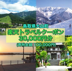 【ふるさと納税】鳥取県大山町の対象施設で使える楽天トラベルクーポン 寄付額100,000円