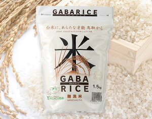 【ふるさと納税】AS-13　栄養満点！GABAライス（無洗米）4.5kg