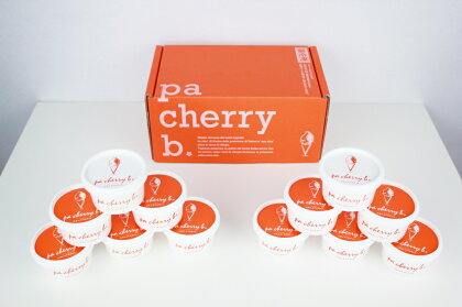 PC-02　pa cherry b. パッチェリービー ジェラート12個セット ジェラート 90ml×12個 大山プレミアムミルク アマレーナ ピスタチオ チョコレート 珈琲 ラムレーズン 各2個 アイスクリーム アイス 詰め合わせ 食べ比べ スイーツ 鳥取県 大山町 大山