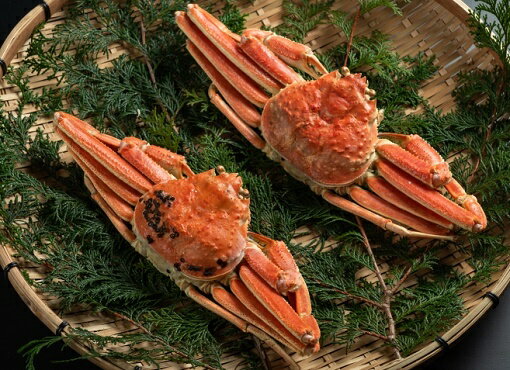 【ふるさと納税】冷凍ボイル松葉ガニ(400g〜500gを2枚) 約3−4人前 鳥取県産 松葉ガニ ズワイガニ かに 松葉蟹 ずわいがに カニ 松葉がに 蟹 カニ...