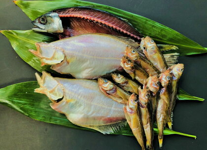 OM-37　みくりや干物3種セット 鳥取県 鳥取県産 大山町 大山 天然 干物 サバ エテカレイ 白ハタ 鯖 ハタハタ 鰰 鰈 かれい さば はたはた 要冷凍 魚 魚介類 魚介 さかな干し 冷凍30日 一夜干し 干物セット バラエティセット