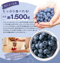 鳥取県大山町の画像3