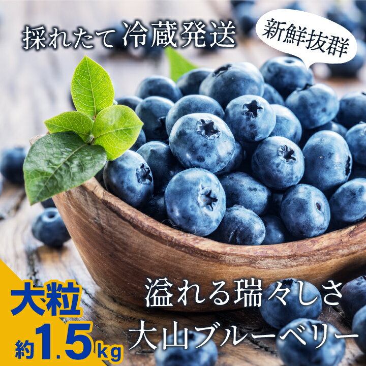 よく一緒に購入されている商品DS-03 新甘泉梨 5kg 先行予約 送料無16,000円 ・ふるさと納税よくある質問はこちら ・寄附申込みのキャンセル、返礼品の変更・返品はできません。あらかじめご了承ください。 返礼品説明 品名 ブルーベリー 内容量 1.5kg 発送方法 冷蔵 申込期間 通年 配送時期 8月上旬～下旬に発送（配送日指定不可） 説明 大山町のある鳥取県西部は、実はブルーベリー栽培が盛んな地域です。その理由は、「黒ボク」と呼ばれる肥沃な土壌と、かの有名飲料メーカーが天然水の工場を建設するほどの良質の伏流水です。恵まれた大地と清らかな水で育まれる美味しいブルーベリーを是非ご堪能ください。（こちらの品は、8月収穫予定の生ブルーベリーです。限定100個となりますので、お早めにお申込下さい。） 提供事業者 大山恵みの里公社 類似商品はこちらMS-33 新鮮生ブルーベリー1kg生ブルーベ14,000円MS-32 新鮮生ブルーベリー1kg生ブルーベ14,000円MS-31 新鮮生ブルーベリー1kg生ブルーベ14,000円MS-35 新鮮生ブルーベリー1.5kg生ブル17,000円MS-34 新鮮生ブルーベリー1.5kg生ブル17,000円MS-30　冷凍ブルーベリー1.2kg 18,000円MS-79 大山町産ブルーベリージャム　ブルー16,000円MS-41 こだわりの大山そば　 そば お11,000円YN-08　にっこり梨　5kg　なし 鳥取県14,000円新着商品はこちら2024/5/29MS-88　白バラのチーズギフト　ちーず おつ17,000円2024/5/29MS-89　大山デコレーションケーキ　けーき 17,000円2024/5/24YN-08　にっこり梨　5kg　なし 鳥取県14,000円再販商品はこちら2024/5/29MS-70　 大山乳業のアイスクリーム詰め合わ16,000円2024/5/29MS-74　大山乳業のアイスクリーム詰め合わせ19,000円2024/5/15GB-05 猪肉 バラ 500g　　ジビエ 肉11,000円2024/05/30 更新 「ふるさと納税」寄付金は、下記の事業を推進する資金として活用してまいります。 寄付を希望される皆さまの想いでお選びください。 1．大山町の活力ある未来づくりに向けた施策に活用 2．大山の特色を活かした施策に活用 3．地域の資源を活用した施策に活用 4．心地よい住環境づくり施策 5．未来を担うひとづくり施策 6．地域の賑わいづくり施策 7．公教育の無償化に関する施策 8．英語教育の充実に向けた施策 9．農林水産業の振興に関する施策 10．自然環境の保全と活用の施策 11．移住定住の支援に関する施策 12．総活躍社会の福祉向上の施策 13−1．地域自主組織 かくわの郷庄内（庄内地区）への応援 13−2．地域自主組織 きばらいや上中山（上中山地区）への応援 13−3．地域自主組織 きらり光徳（光徳地区）への応援 13−4．地域自主組織 支え合いのまち御来屋（御来屋地区）への応援 13−5．地域自主組織 大山の里 所子（所子地区）への応援 13−6．地域自主組織 楽しもなかやま（下中山地区）への応援 13−7．地域自主組織 なわのわ（名和地区）への応援 13−8．地域自主組織 ふれあいの郷かあら山（高麗地区）への応援 13−9．地域自主組織 まちづくり大山（大山地区）への応援 13−10．地域自主組織 やらいや逢坂（逢坂地区）への応援 入金確認後、注文内容確認画面の【注文者情報】に記載の住所にお送りいたします。 発送の時期は、寄附確認後10日以内を目途に、お礼の特産品とは別にお送りいたします。