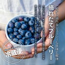 鳥取県大山町の画像2