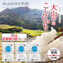 【ふるさと納税】【令和7年10月以降発送新米】 KT-04 大山のこしひかり (白米5kg×3回) 大山カラス天狗 米 料理用 家庭用 鳥取県 鳥取県産 大山町 大山 料理 国産 鳥取 コシヒカリ こしひかり 大山産