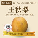 DS-27【訳あり梨】「ひょう」の被害を受けても力強く育つ王秋梨 5kg なし オリジナル フルーツ 鳥取県 鳥取県産 大山町 大山 お土産 返礼品 国産 お取...