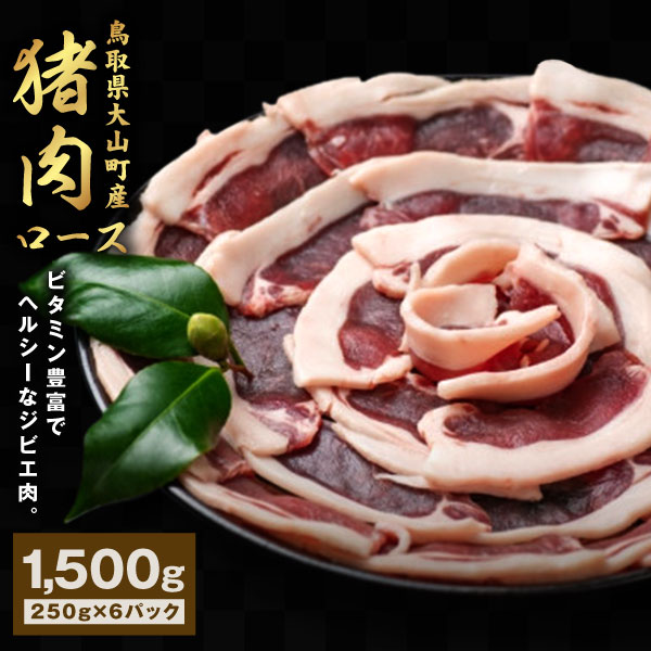 【ふるさと納税】GB-11　猪肉　ロース　1.5kg（250g×6パック）　猪肉 肉 お肉 スライス 鳥取県 鳥取県..