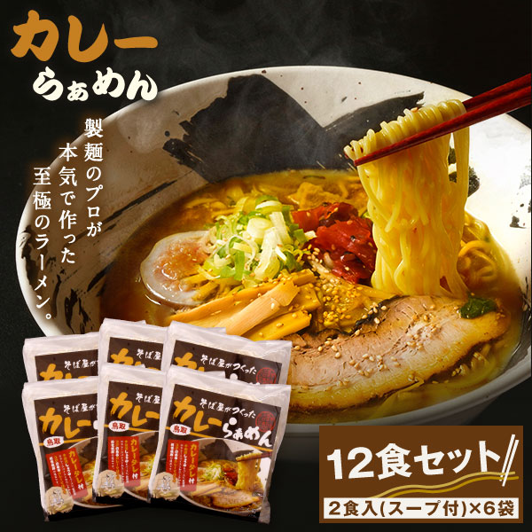 だいせん麺工房のこだわりラーメン(カレー味)カレーラーメン 12食 セット 特性麺 しょうゆベース カレースパイス カレースープ 鳥取県 鳥取県産 大山町 大山 お土産 返礼品 国産 お取り寄せ ご当地