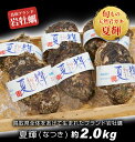 【ふるさと納税】OM-28　岩牡蠣「夏輝」(約2kg）【6～8月順次発送】牡蠣 かき カキ 鳥取県 鳥取県産 大山町 大山 お土産 返礼品 国産 お取り寄せ 高級 高級品 ご当地