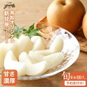 【ふるさと納税】新甘泉 しんかんせん 梨 5kg入り鳥取県 鳥取県産 大山町 大山 梨 果物 フルーツ ナシ 甘い 果汁 和梨 箱 甘み くだもの 国産 赤秀 ...