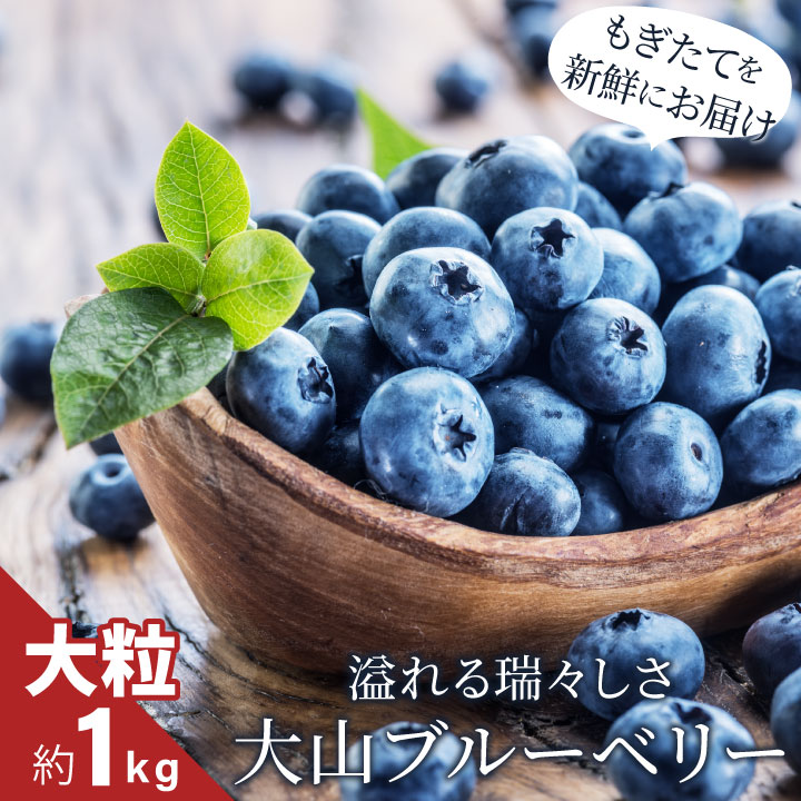 ڤդ뤵ǼǡMS-32 ֥롼٥꡼1kg7Τ֥롼٥꡼   Ļ踩 Ļ踩 绳Į 绳 ڻ ...