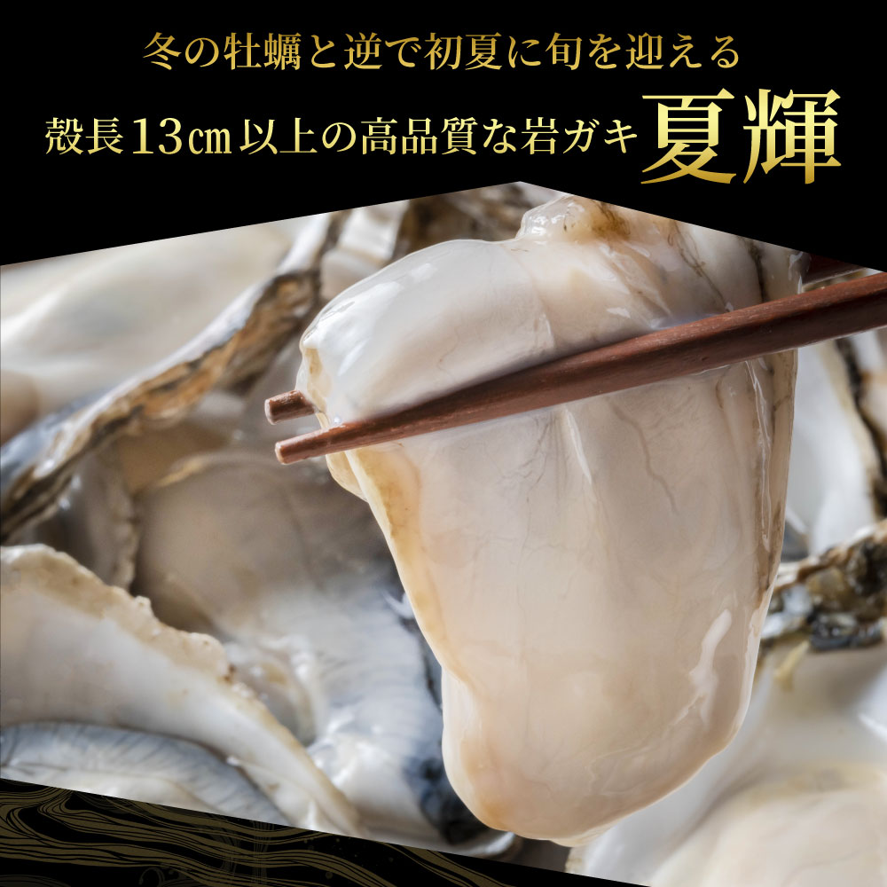 【ふるさと納税】OM-28　岩牡蠣「夏輝」(約2kg）【6～8月順次発送】牡蠣 かき カキ 鳥取県 鳥取県産 大山町 大山 お土産 返礼品 国産 お取り寄せ 高級 高級品 ご当地