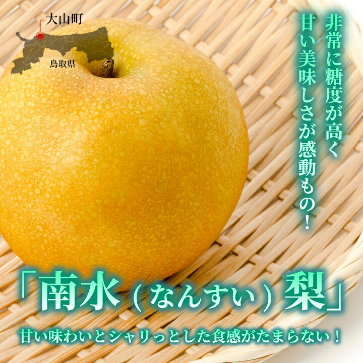 【ふるさと納税】南水 なんすい 梨 5kg入り 鳥取県 鳥取県産 大山町 大山 梨 果物 フルーツ ナシ 甘い 果汁 和梨 箱 甘み くだもの 国産 青秀 赤秀 南水梨 なし 果実 数量限定 常温保存【発送2024年9月中旬】DS-06