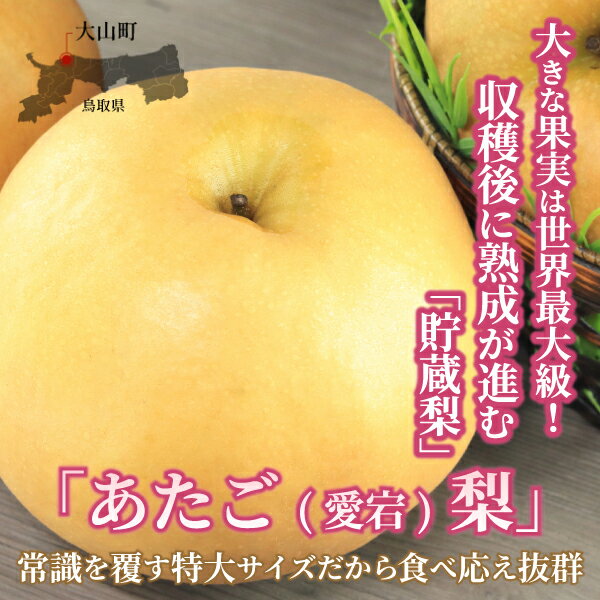 【ふるさと納税】あたご梨 5kg 梨 なし 鳥取県 鳥取県産 大山町 大山 梨 果物 フルーツ ナシ 甘い 果汁 和梨 箱 甘み くだもの 国産 果肉 甘い 返礼品 鳥取梨 なし DS-10