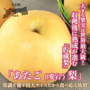 鳥取県大山町の画像2