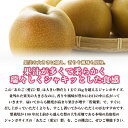 鳥取県大山町の画像3