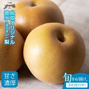 【ふるさと納税】豊水（ほうすい）梨（5kg）【発送2024年