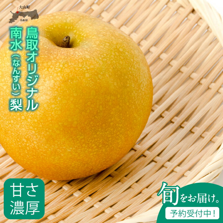 【ふるさと納税】南水 なんすい 梨 5kg入り 鳥取県 鳥取県産 大山町 大山 梨 果物 フルーツ ナシ 甘い 果汁 和梨 箱 甘み くだもの 国産 青秀 赤秀 南水梨 なし 果実 数量限定 常温保存【発送2024年9月中旬】DS-06のサムネイル